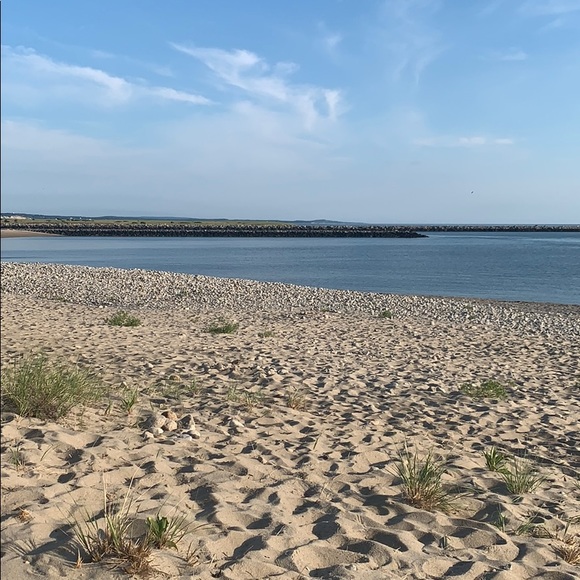 Meet your Posher, Jane - Picture 2 of 2